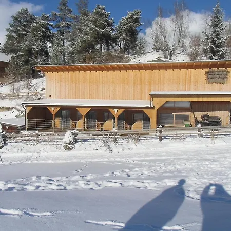 Petter 3 Feriehus Tobadill