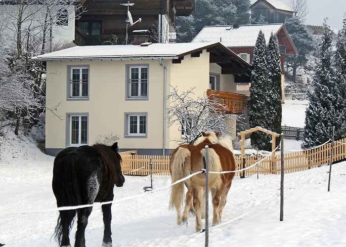 Petter 3 Prázdninový dům