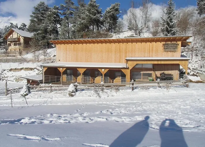 Petter 3 Feriehus Tobadill